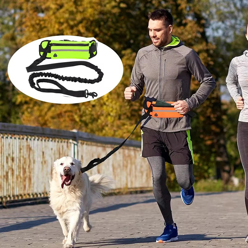 Hands Free Reflective Retractable Dog Leash