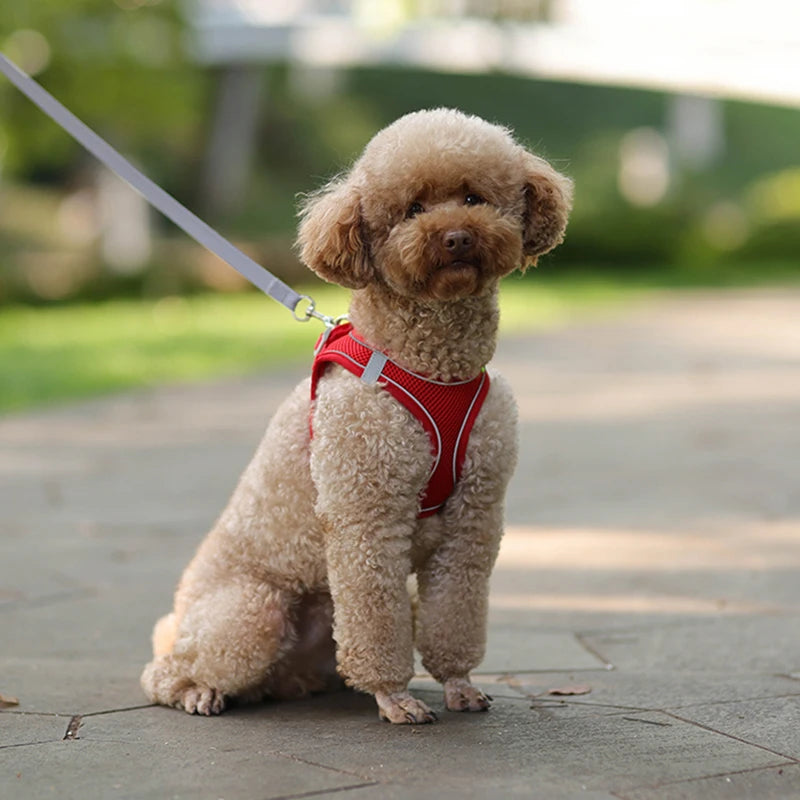 Gentle Embrace Dog Harness