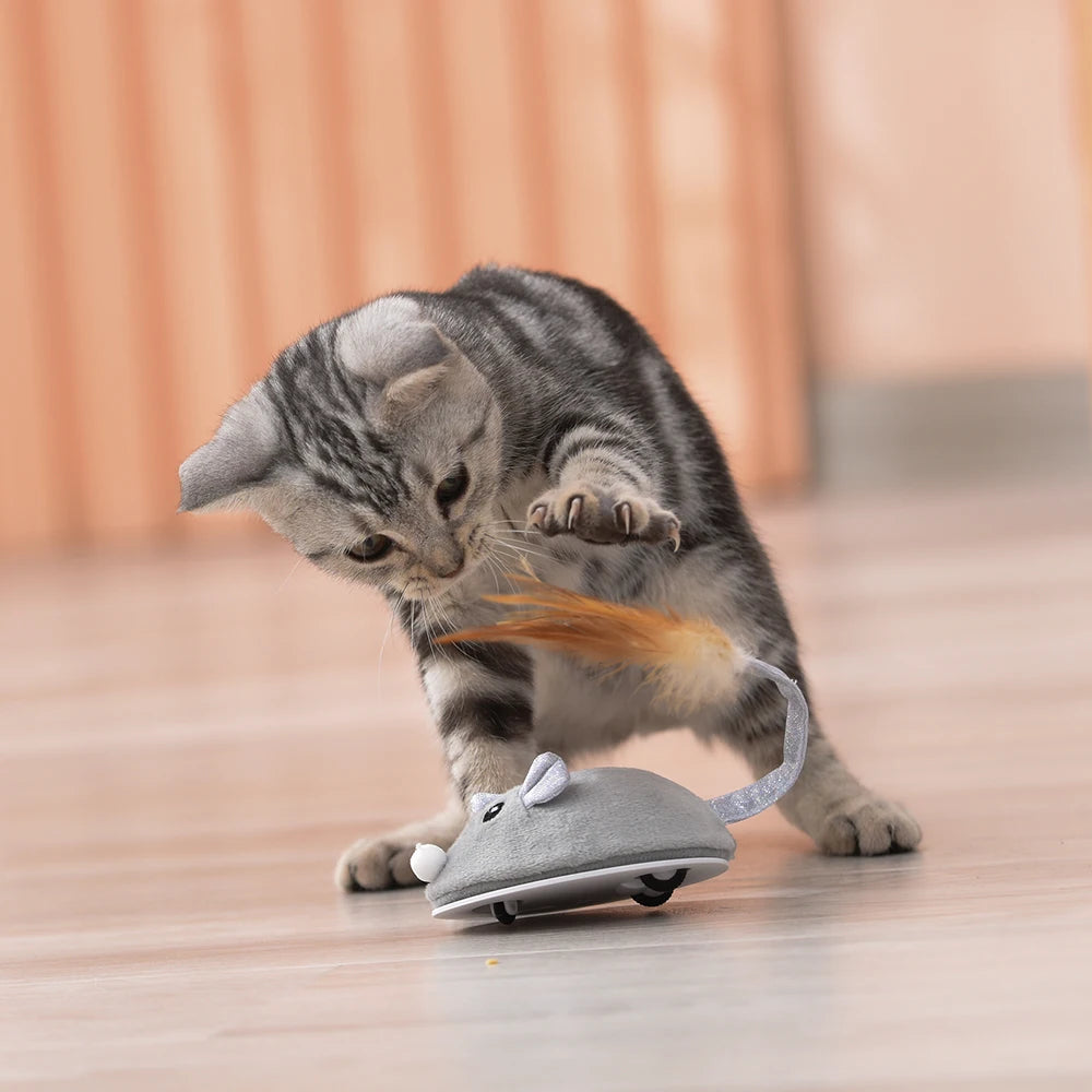 Cat Crawling Mouse Toy with USB Charging