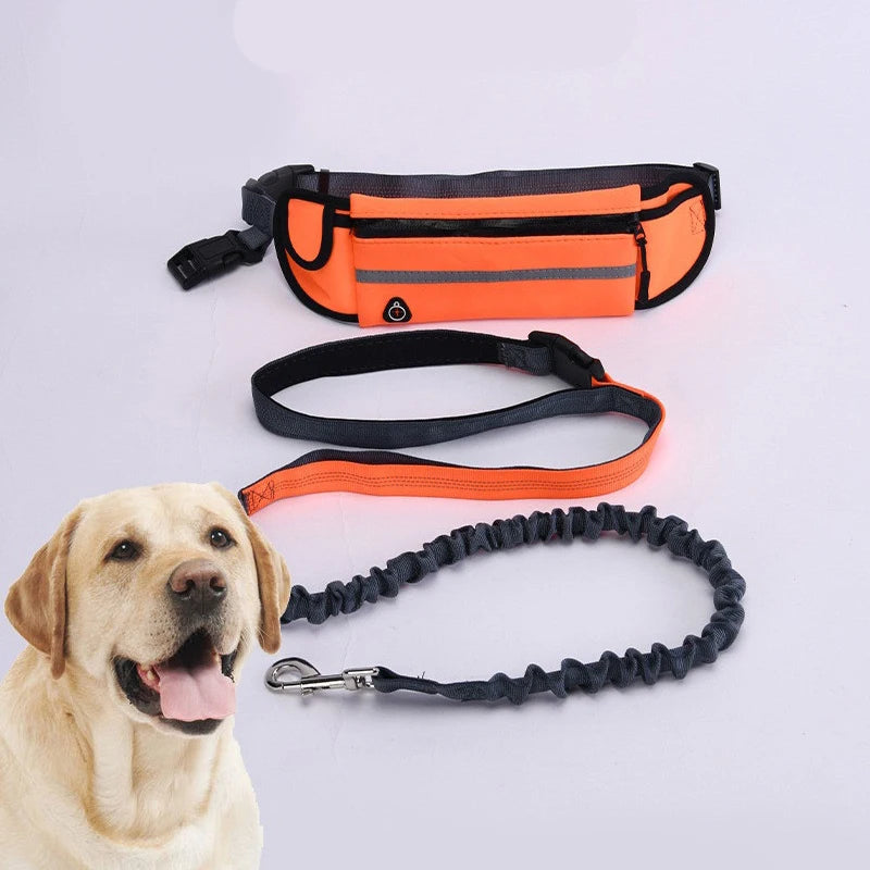 Hands Free Reflective Retractable Dog Leash