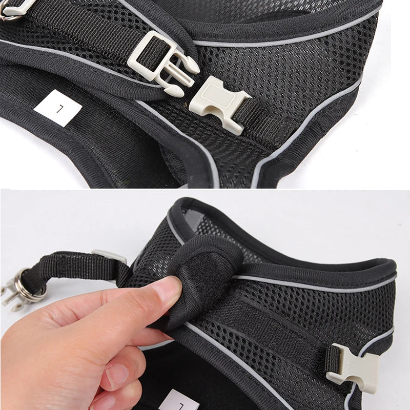 Gentle Embrace Dog Harness