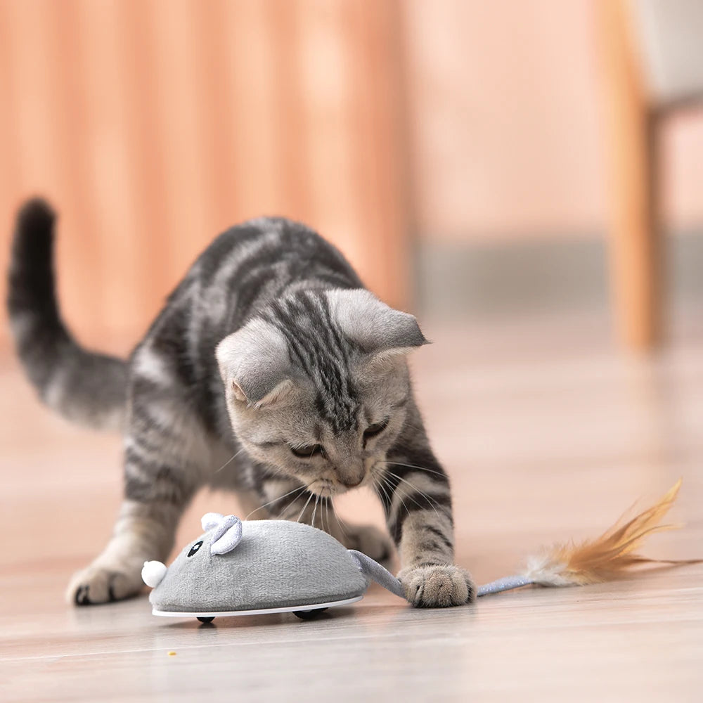 Cat Crawling Mouse Toy with USB Charging