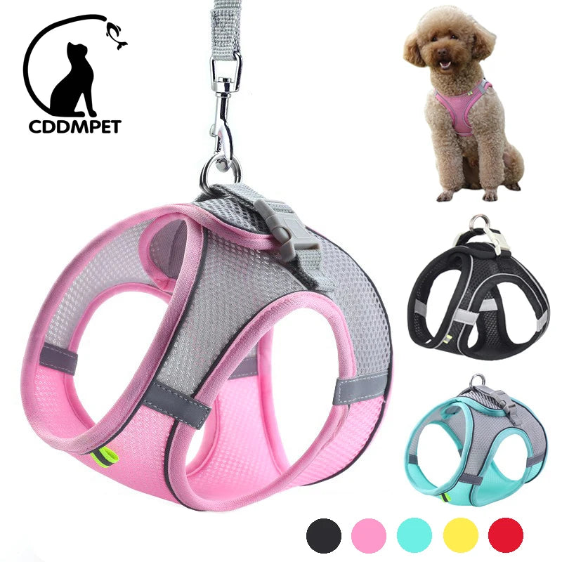 Gentle Embrace Dog Harness